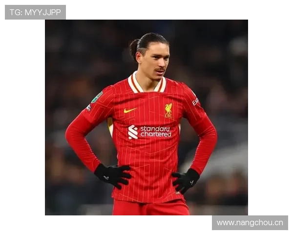 努涅斯身价是否虚高 赛场表现与身价匹配度分析